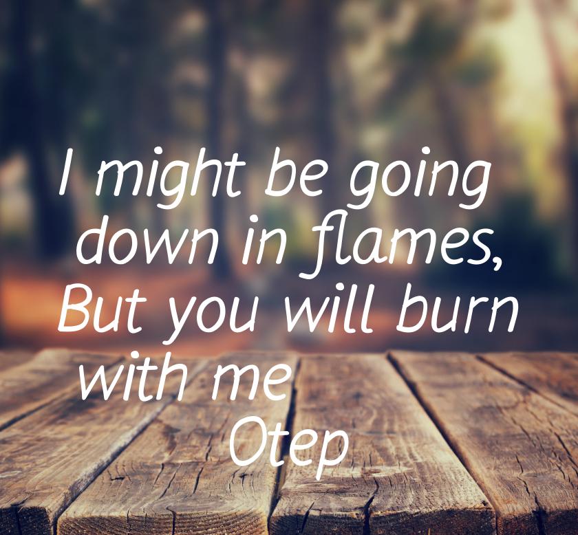 I might be going down in flames, But you will burn with me