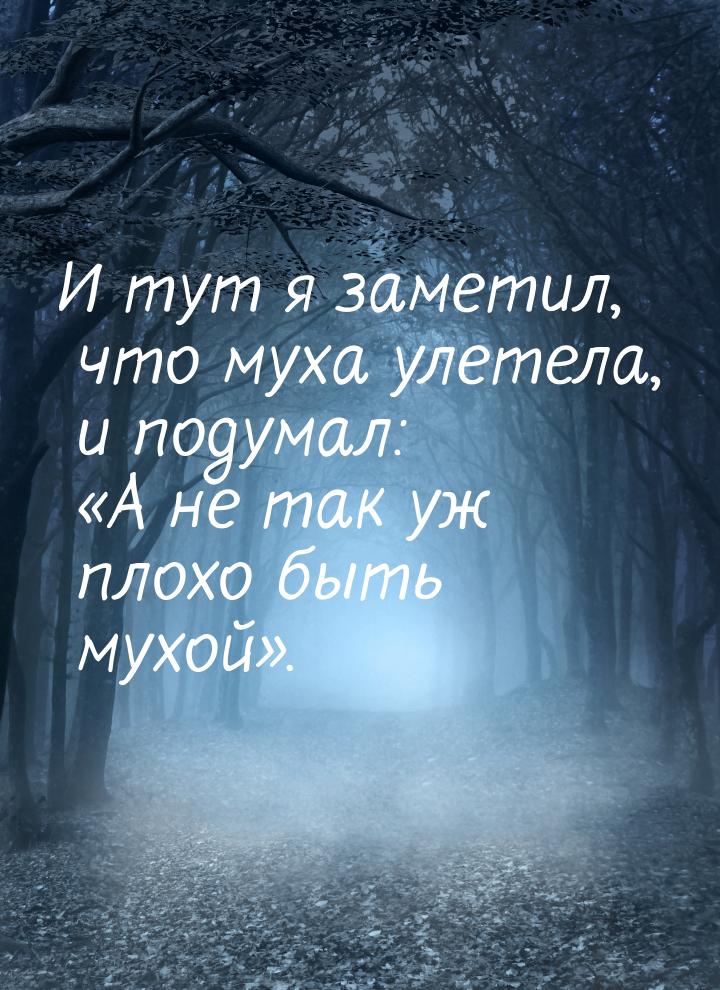 И тут я заметил, что муха улетела, и подумал: «А не так уж плохо быть мухой».