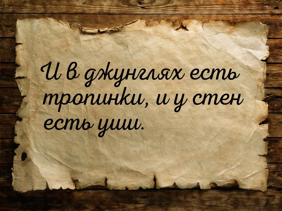 И в джунглях есть тропинки, и у стен есть уши.