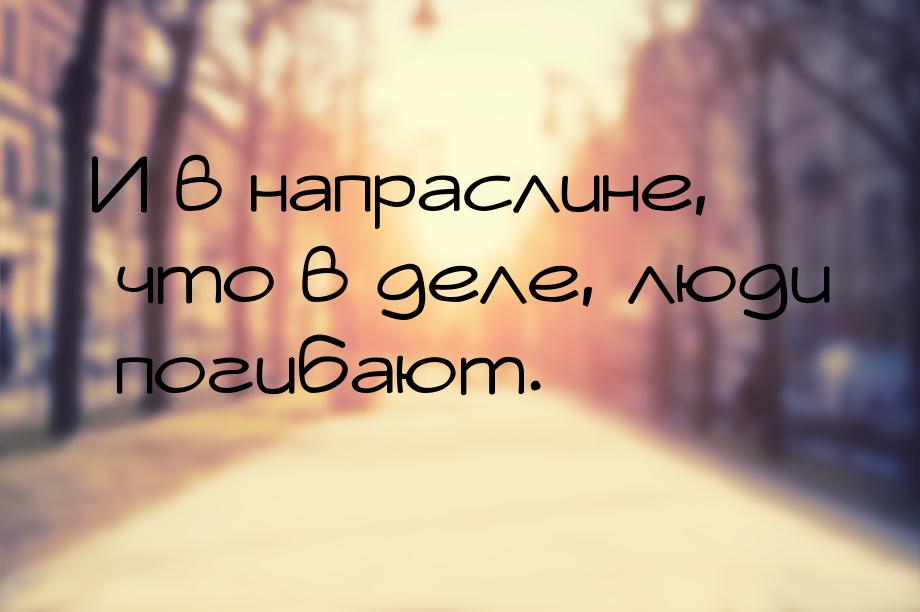 И в напраслине, что в деле, люди погибают.