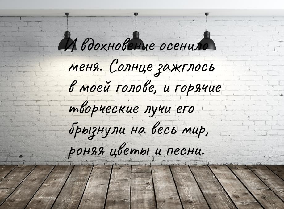 И вдохновение осенило меня. Солнце зажглось в моей голове, и горячие творческие лучи его б