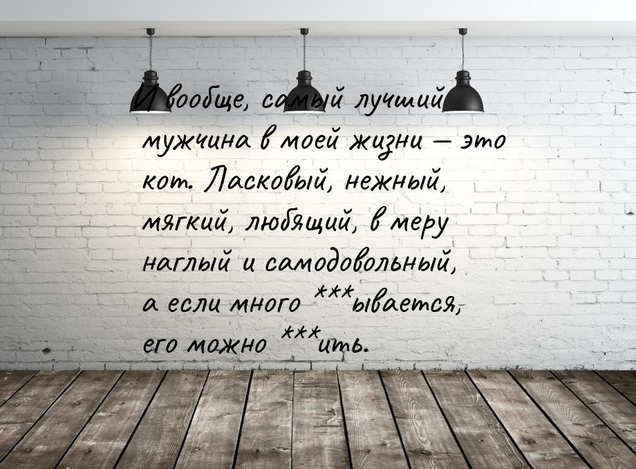 И вообще, самый лучший мужчина в моей жизни  это кот. Ласковый, нежный, мягкий, люб