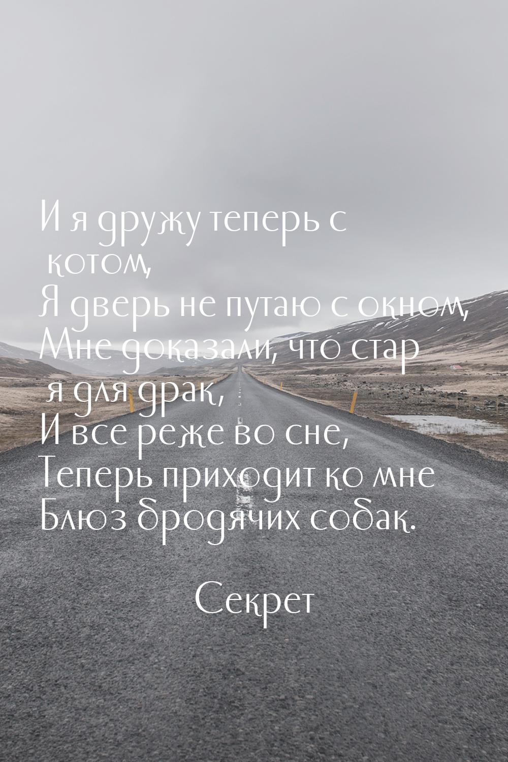 И я дружу теперь с котом, Я дверь не путаю с окном, Мне доказали, что стар я для драк, И в