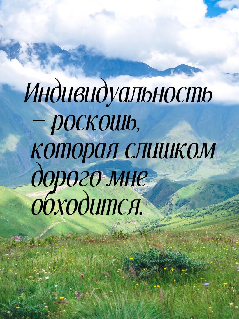 Индивидуальность  роскошь, которая слишком дорого мне обходится.