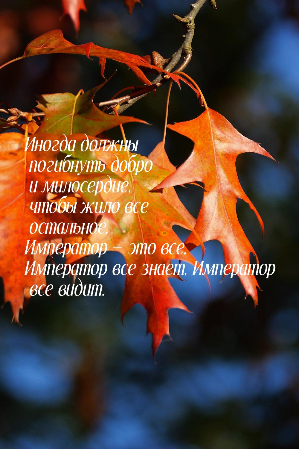 Иногда должны погибнуть добро и милосердие, чтобы жило все остальное. Император — это все.