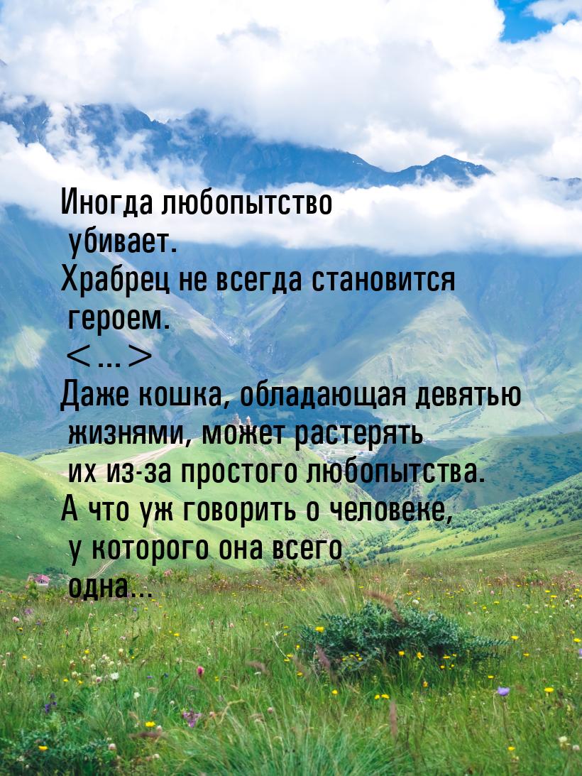 Иногда любопытство убивает. Храбрец не всегда становится героем. ... Даже кошка, о