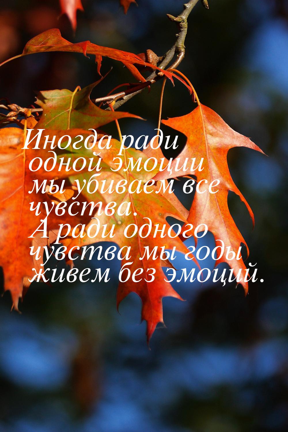 Иногда ради одной эмоции мы убиваем все чувства. А ради одного чувства мы годы живем без э