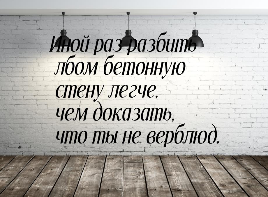 Иной раз разбить лбом бетонную стену легче, чем доказать, что ты не верблюд.