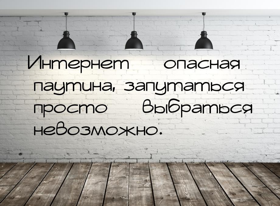 Интернет — опасная паутина, запутаться просто — выбраться невозможно.