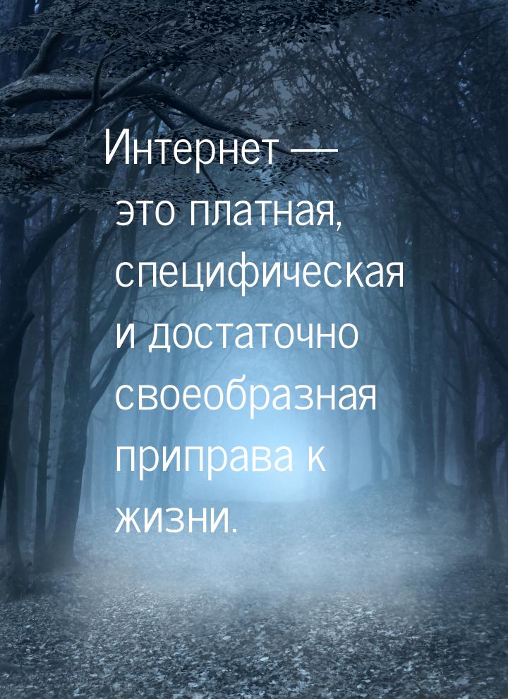 Интернет  это платная, специфическая и достаточно своеобразная приправа к жизни.