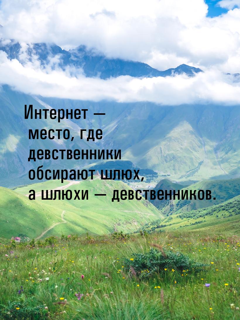 Интернет  место, где девственники обсирают шлюх, а шлюхи  девственников.