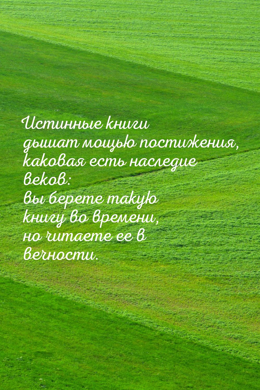 Истинные книги дышат мощью постижения, каковая есть наследие веков: вы берете такую книгу 