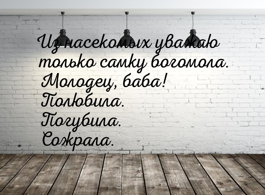 Из насекомых уважаю только самку богомола. Молодец, баба! Полюбила. Погубила. Сожрала.