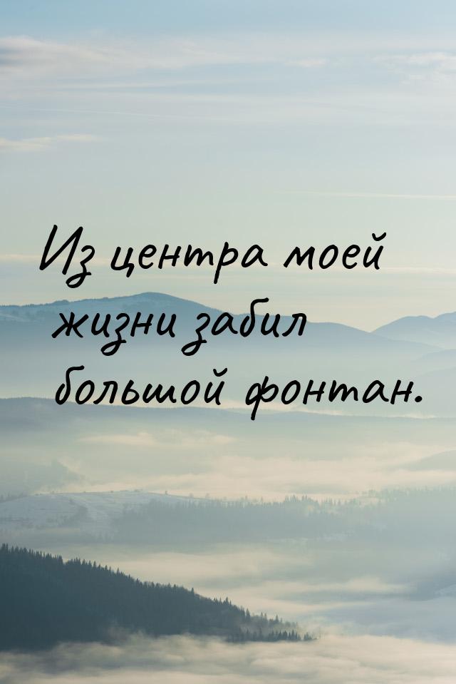 Из центра моей жизни забил большой фонтан.