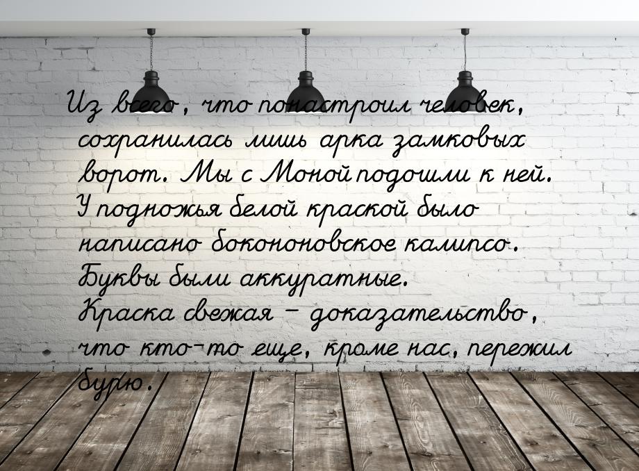 Из всего, что понастроил человек, сохранилась лишь арка замковых ворот. Мы с Моной подошли