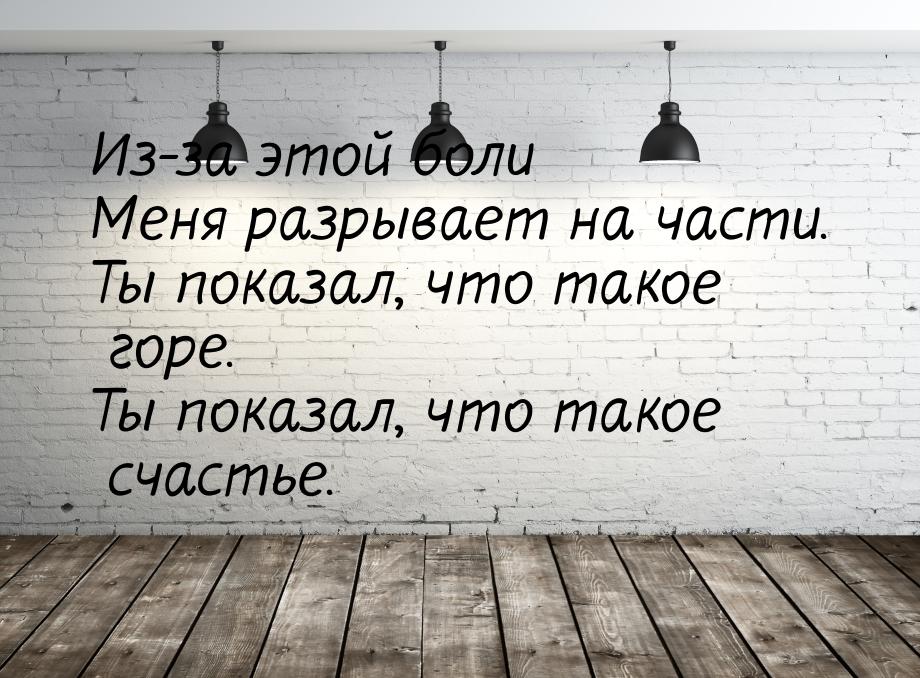 Из-за этой боли Меня разрывает на части. Ты показал, что такое горе. Ты показал, что такое