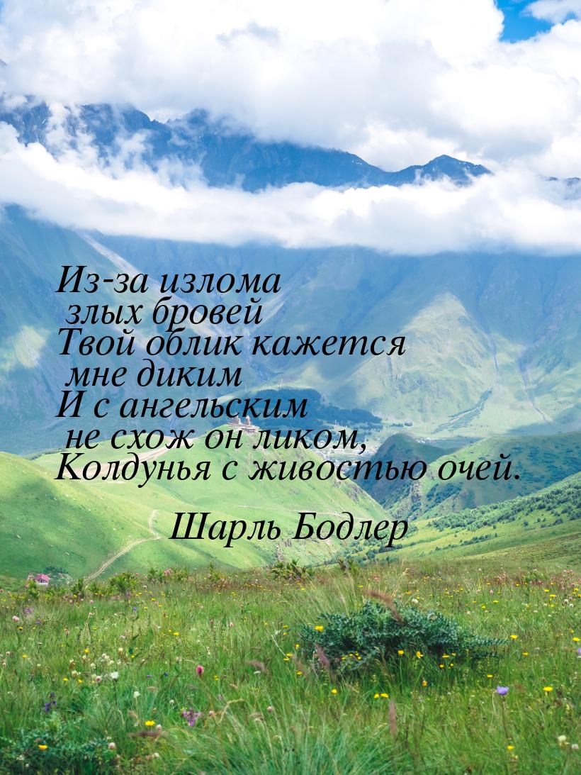 Из-за излома злых бровей Твой облик кажется мне диким И с ангельским не схож он ликом, Кол