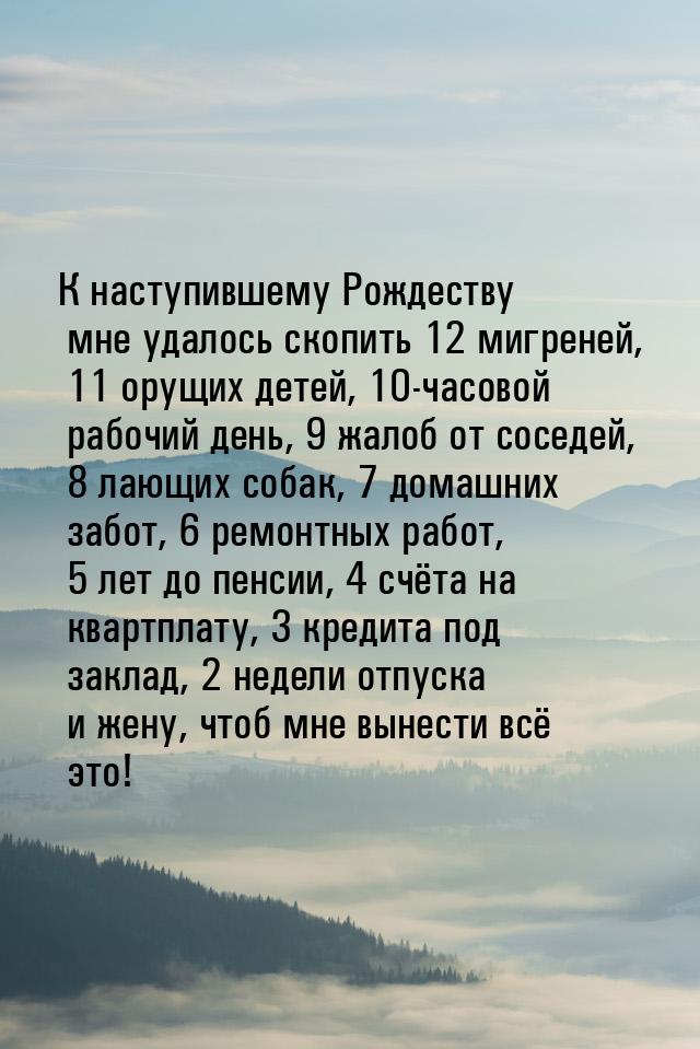 К наступившему Рождеству мне удалось скопить 12 мигреней, 11 орущих детей, 10-часовой рабо