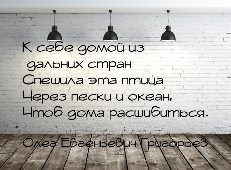 К себе домой из дальних стран Спешила эта птица Через пески и океан, Чтоб дома расшибиться