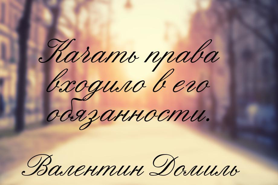 Качать права входило в его обязанности.