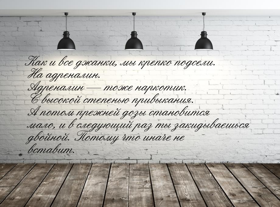 Как и все джанки, мы крепко подсели. На адреналин. Адреналин  тоже наркотик. С высо