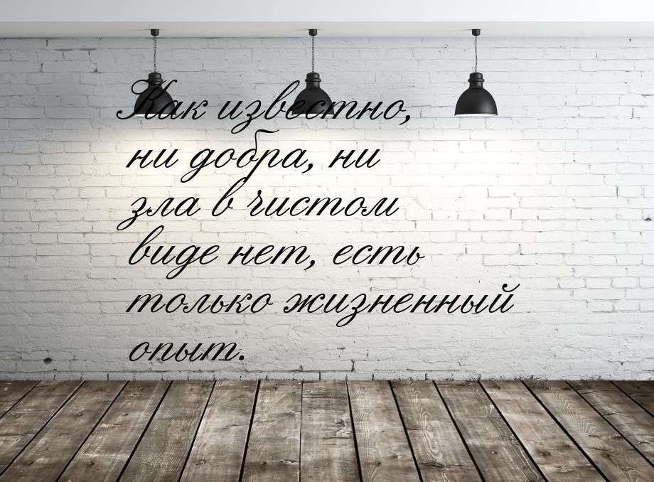 Как известно, ни добра, ни зла в чистом виде нет, есть только жизненный опыт.