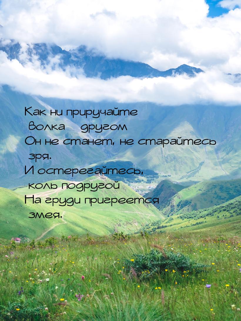 Как ни приручайте волка – другом Он не станет, не старайтесь зря. И остерегайтесь, коль по