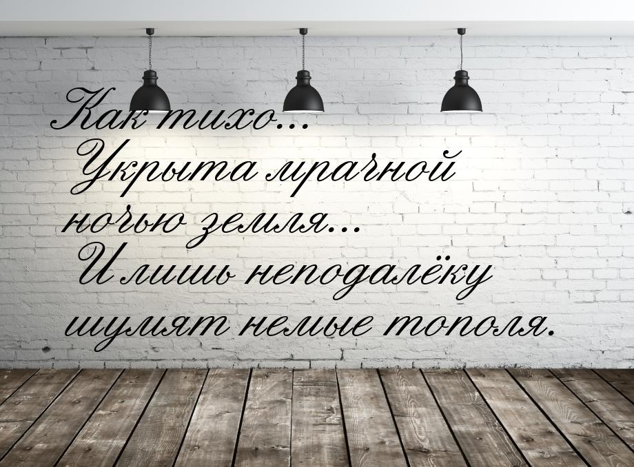 Как тихо... Укрыта мрачной ночью земля... И лишь неподалёку шумят немые тополя.