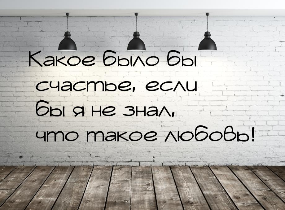 Какое было бы счастье, если бы я не знал, что такое любовь!