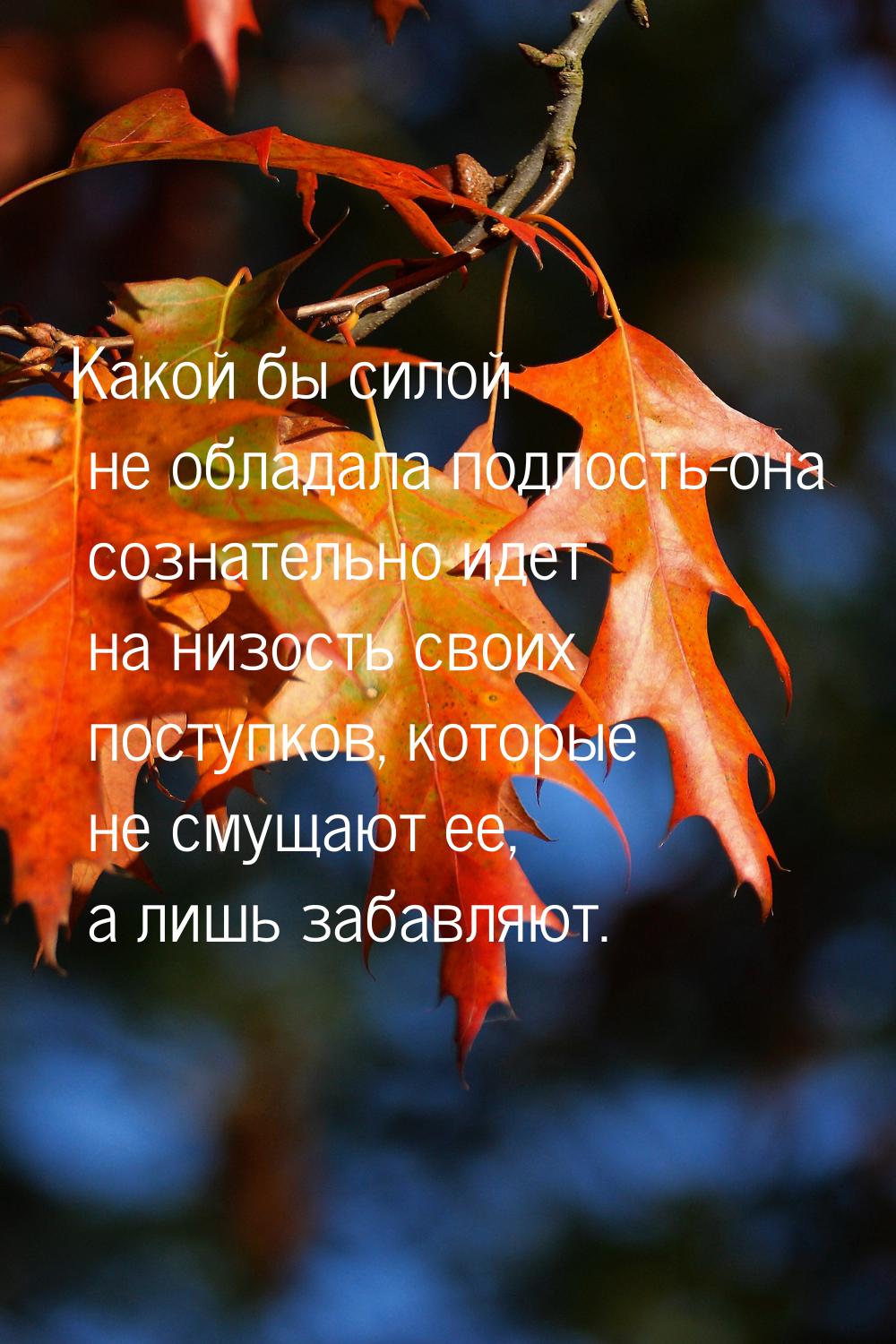 Какой бы силой не обладала подлость-она сознательно идет на низость своих поступков, котор