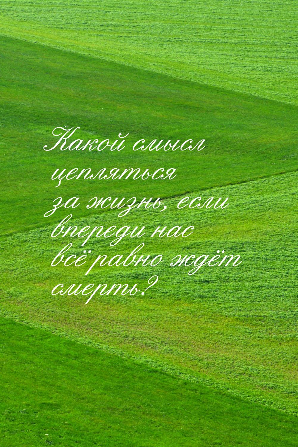 Какой смысл цепляться за жизнь, если впереди нас всё равно ждёт смерть?