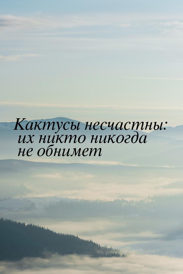 Кактусы несчастны: их никто никогда не обнимет