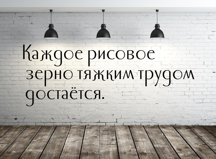 Каждое рисовое зерно тяжким трудом достаётся.