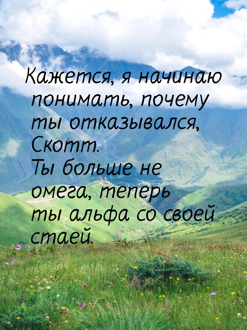 Кажется, я начинаю понимать, почему ты отказывался, Скотт. Ты больше не омега, теперь ты а