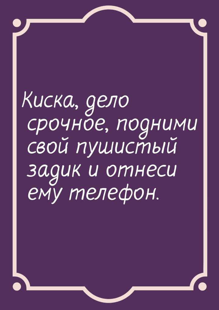 Киска, дело срочное, подними свой пушистый задик и отнеси ему телефон.