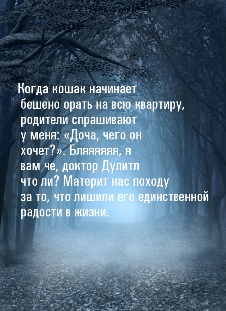 Когда кошак начинает бешено орать на всю квартиру, родители спрашивают у меня: Доча