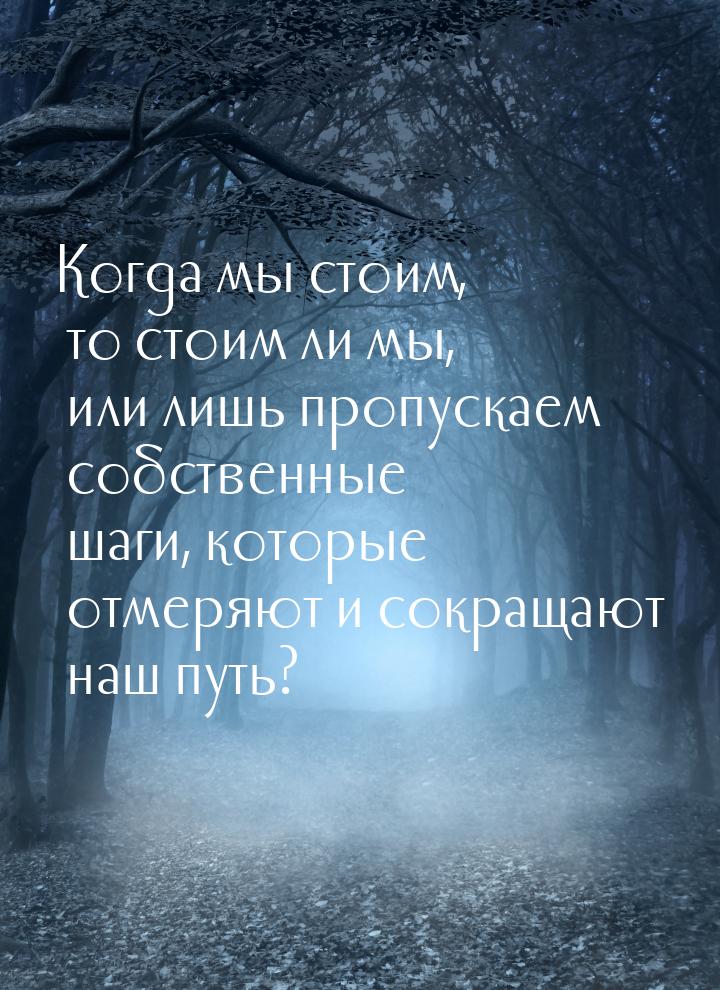 Когда мы стоим, то стоим ли мы, или лишь пропускаем собственные шаги, которые отмеряют и с