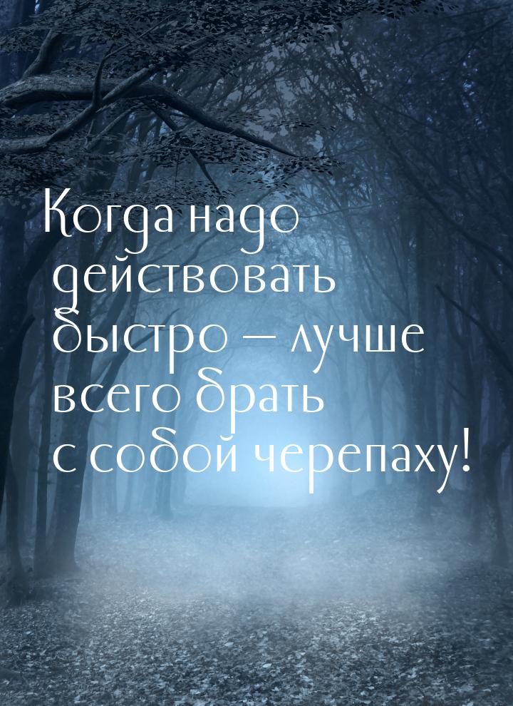 Когда надо действовать быстро  лучше всего брать с собой черепаху!