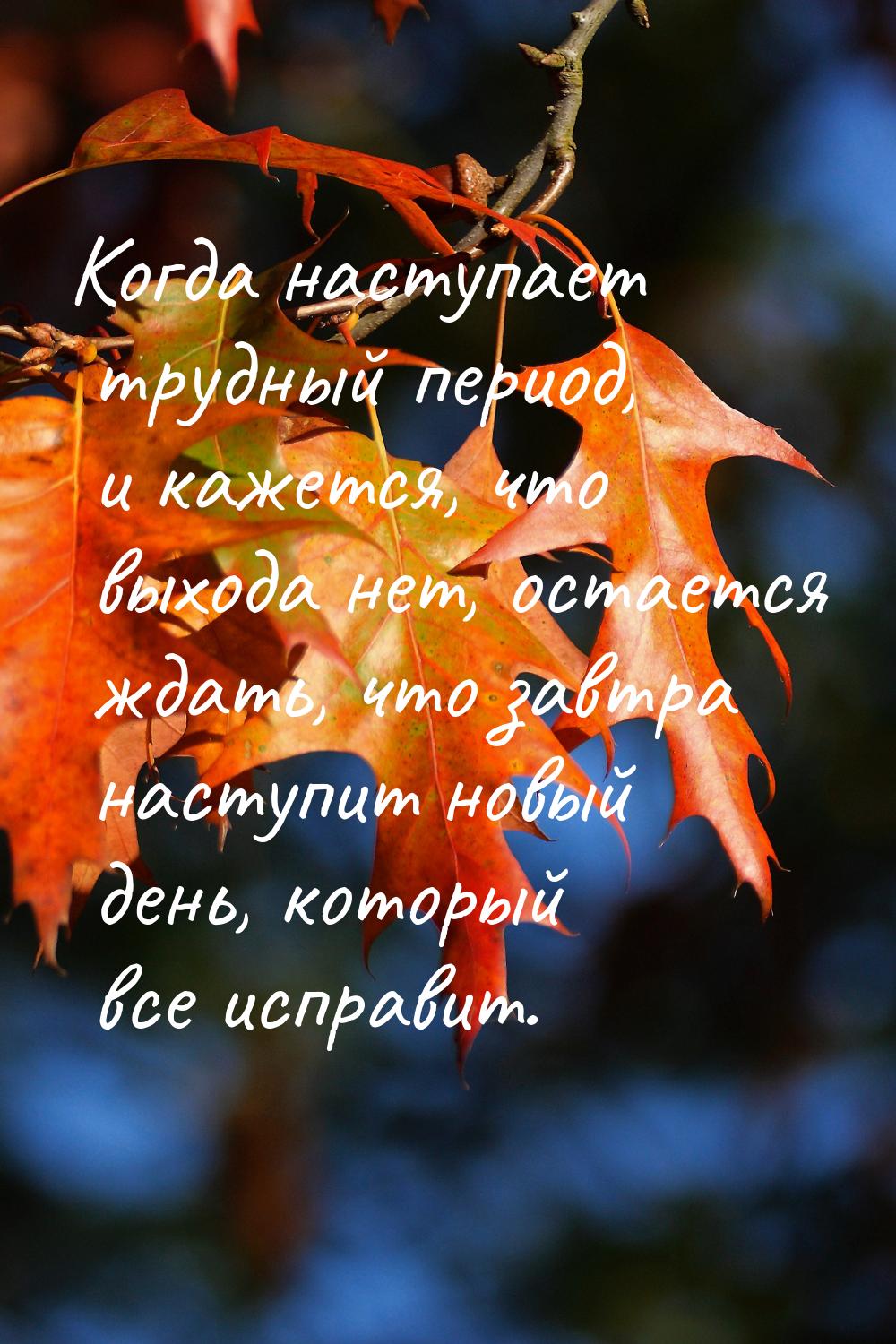 Когда наступает трудный период, и кажется, что выхода нет, остается ждать, что завтра наст