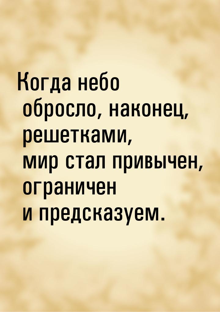 Когда небо обросло, наконец, решетками, мир стал привычен, ограничен и предсказуем.