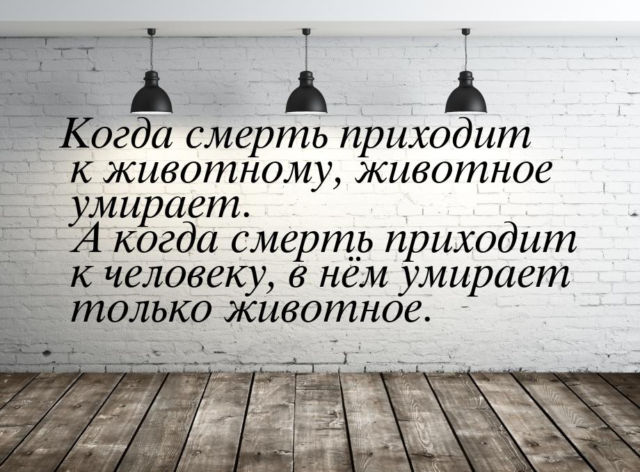 Когда смерть приходит к животному, животное умирает. А когда смерть приходит к человеку, в