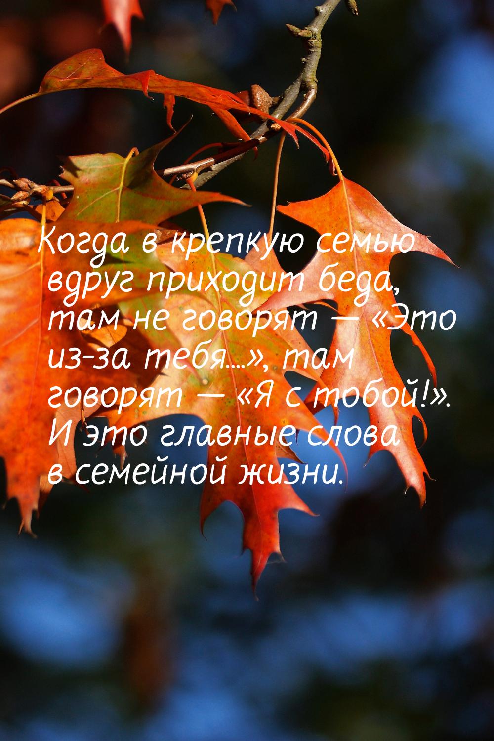 Когда в крепкую семью вдруг приходит беда, там не говорят  Это из-за тебя...