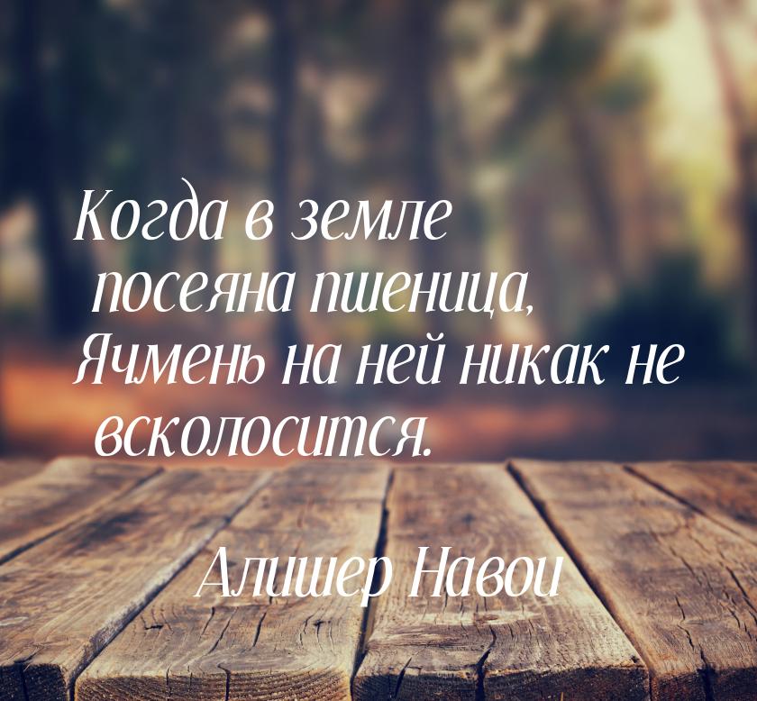 Когда в земле посеяна пшеница, Ячмень на ней никак не всколосится.