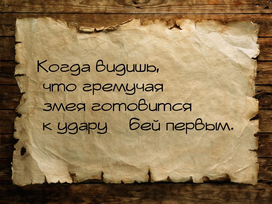 Когда видишь, что гремучая змея готовится к удару – бей первым.