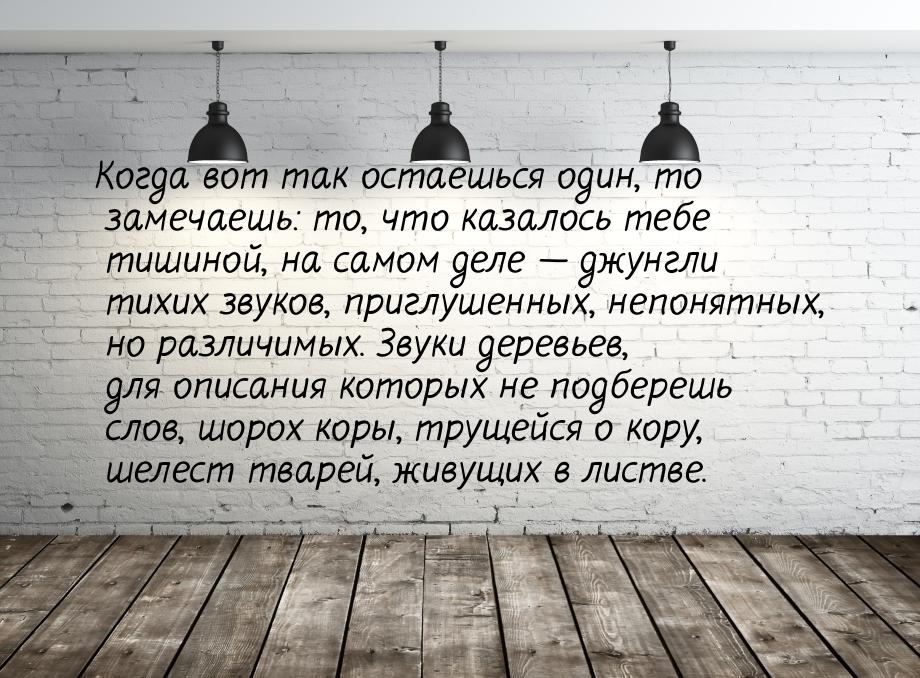 Когда вот так остаешься один, то замечаешь: то, что казалось тебе тишиной, на самом деле &