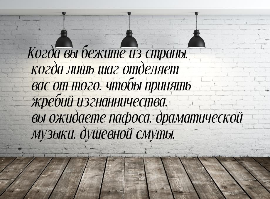 Когда вы бежите из страны, когда лишь шаг отделяет вас от того, чтобы принять жребий изгна