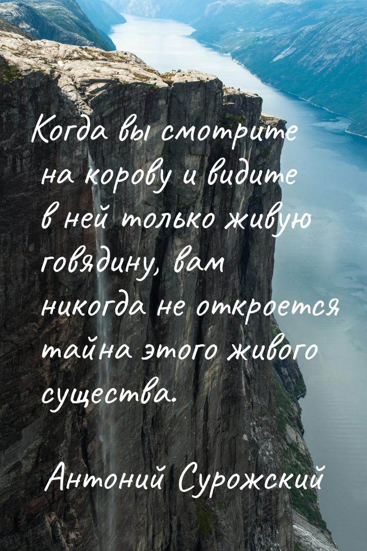 Когда вы смотрите на корову и видите в ней только живую говядину, вам никогда не откроется