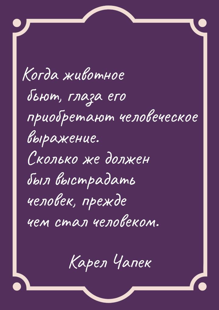 Когда животное бьют, глаза его приобретают человеческое выражение. Сколько же должен был в