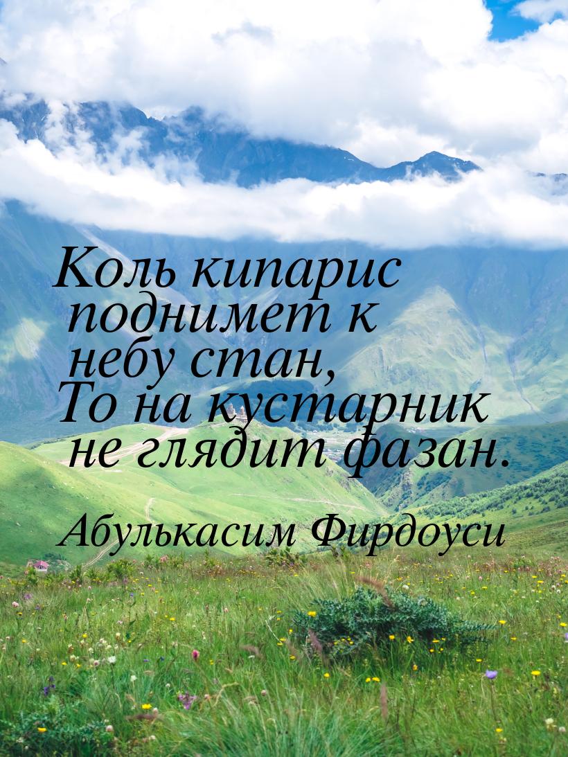 Коль кипарис поднимет к небу стан, То на кустарник не глядит фазан.