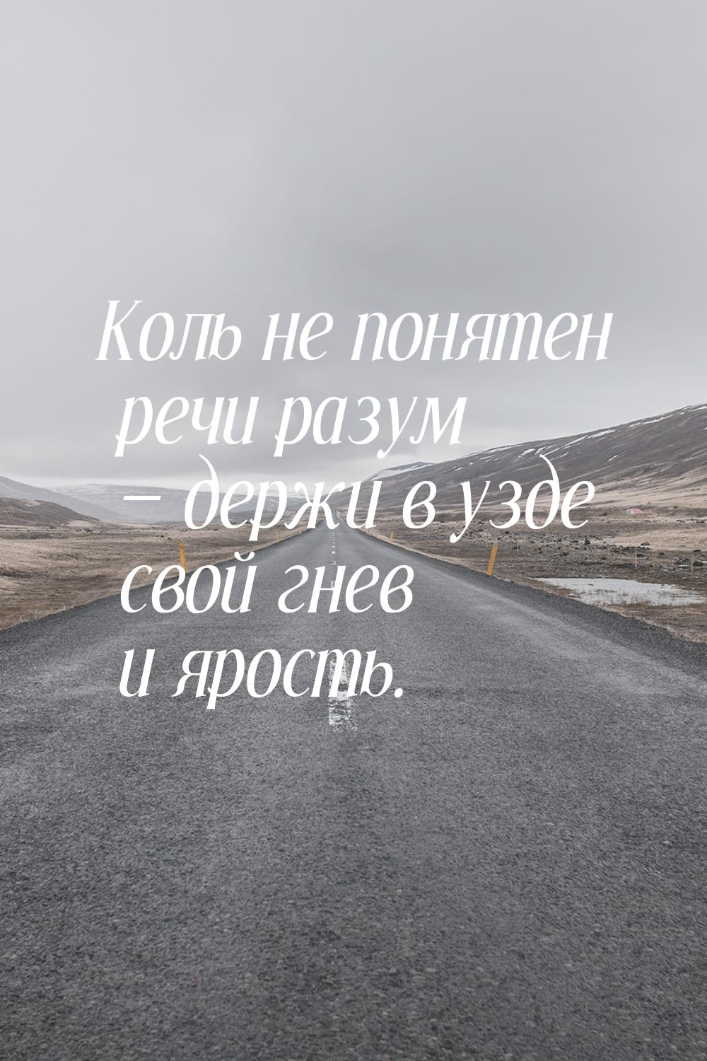 Коль не понятен речи разум — держи в узде свой гнев и ярость.